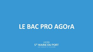 Le Bac pro AGOrA [upl. by Ennaoj]