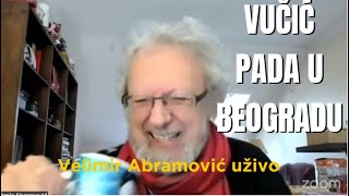 Nenad Torontos JA SAM GENIJE 10  Velimir Abramović VUČIĆ PADA U BEOGRADU [upl. by Ender449]