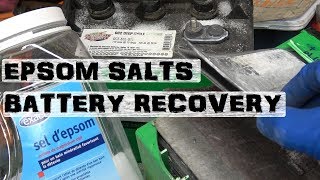 Recover Lead Acid Batteries  Desulfate using Epsom Salts [upl. by Valerye]