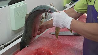 Live Fish Cutting Skill SUPER FRESH SASHIMI  Korean Street Food [upl. by Nueoht929]