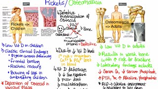 AOCPMR OMT Walkthrough of Osteopathic Sacral Dysfunctions [upl. by Eniroc]