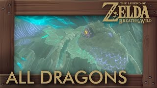 Zelda Breath of the Wild  All Dragon Locations amp Shrine Quests [upl. by Anialad]