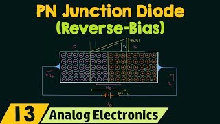 PN Junction Diode ReverseBias Condition [upl. by Atteirneh]