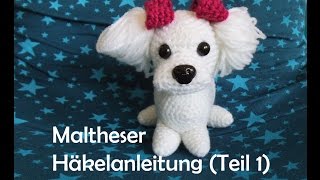 Maltheser Hund  Teil 1  Amigurumi Häkelanleitung [upl. by Jethro]