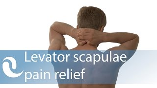 Levator scapulae trigger point selfrelease with hands [upl. by Hammerskjold]