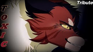 Warrior Cats Tribute Mapleshade  Toxic Dark Version [upl. by Siseneg]