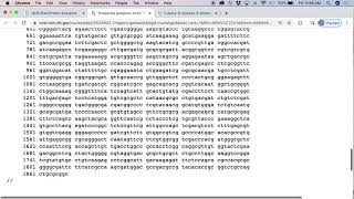 Finding orthologs of a gene using BLAST searches [upl. by Brietta]