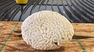 Brain Coral vs Waterjet  Interesting CrossSection [upl. by Eniluqcaj]