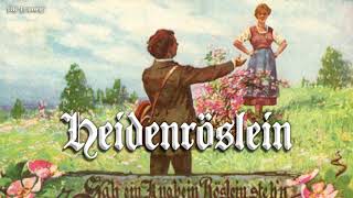 Heidenröslein German folk songEnglish translation [upl. by Shanta]