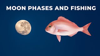 How the Moon and Tides affect bite times for fish like snapper trevally and kingfish [upl. by Colyer]