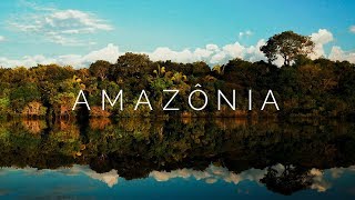 AMAZÔNIA  Viagem pela Floresta Amazônica Brasil  4K Ultra HD [upl. by Anigar]