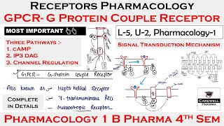 GPCR  G Protein Couple Receptors  cAMP IP3DAG Channel  L5 U2  Pharmacology 4th Semester [upl. by Teresa192]