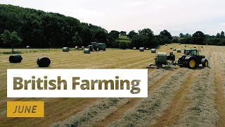 British Farming  12 Months On A UK Farm June [upl. by Evante760]