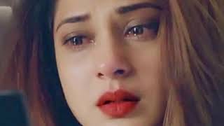 Sukh gayi jo dali uspe phool nahi phir khilta heartbroken sad Song kumar sanu heart touching song [upl. by Vaclava]