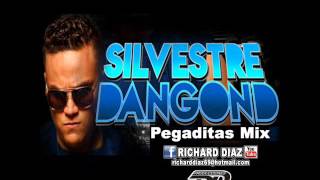 SILVESTRE DANGOND PEGADITAS MIX DJ RICHARD DIAZ [upl. by Noelopan]