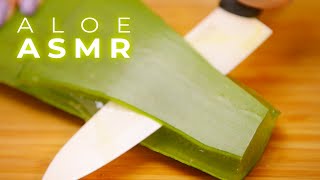 ASMR Best Aloe Sounds for Sleep Tingles and Relaxation No Talking [upl. by Jonina199]