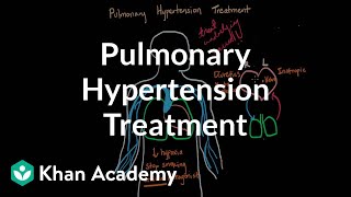 Blood Pressure Drugs  Pharmacology [upl. by Nilya827]