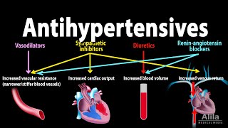 Antihypertensive Medications  Pharmacology Animation [upl. by Aynat]