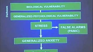 Personality disorders  Behavior  MCAT  Khan Academy [upl. by Oilisab]