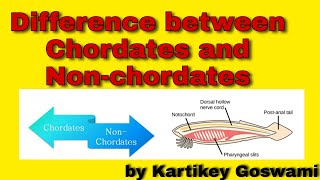 Difference between chordates and non chordates [upl. by Elodie264]