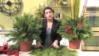 Making a Live Holiday Planter [upl. by Disraeli265]