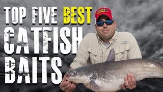 Top 5 Best Catfish Baits Made Simple  Blue Channel Flathead Catfish [upl. by Ariuqahs]