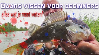 Baars vissen voor beginners  Salmo Hornet [upl. by Roselyn]