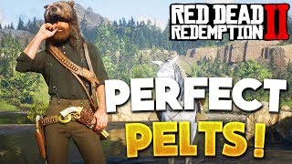 RDR2 How To Get Perfect Pelts amp Legendary Animals Red Dead Redemption 2 Tips amp Hunting [upl. by Earezed]