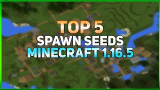 Best Spawn Seeds For Minecraft 1165 [upl. by Torray]