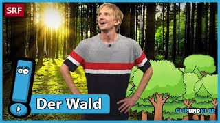 Was macht der Wald  SRF Kids – Clip und klar  Für Kinder erklärt [upl. by Oman]