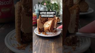 Easy Biscoff Cheesecake Recipe [upl. by Zadack]