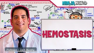 Hematology  Hemostasis Coagulation Cascade [upl. by Hopper]