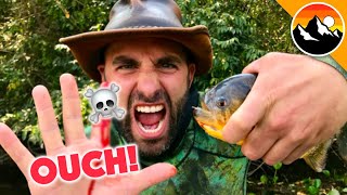 EATEN ALIVE  Human Hands vs Piranha [upl. by Sivrad]