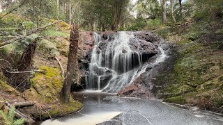 Redwater Creek Falls near Railton Filmed on iPhone 13 Pro Max [upl. by Yadroc478]