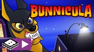 Bunnicula  Fluffy War Journal  Boomerang UK [upl. by Lahey]