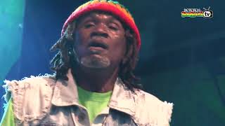 THE WAILING SOULS live  Main Stage 2014 [upl. by Nwaf]