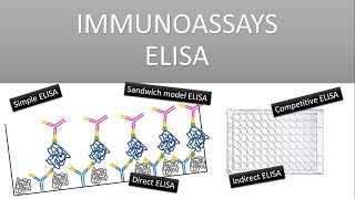 The Principle of Immunoassays ELISA Enzyme Linked Immunosorbent Assay [upl. by Mccourt]