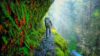 Eagle Creek Trail  Oregon USA  Stunning Footage [upl. by Saba]