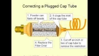 Capillary Tubes in 15 Minutes [upl. by Roddy]