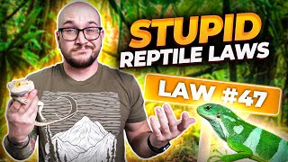 The 5 DUMBEST Reptile Laws and One That Just Changed The Hobby Forever [upl. by Merce]