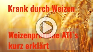 Krank durch Weizen  Symptome der Weizensensitivität  Weizenproteine ATIs kurz erklärt [upl. by Ecirtal18]