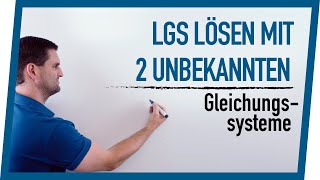 LGS lösen mit 2 Unbekannten  Mathe by Daniel Jung [upl. by Anna]