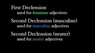 First and Second Declension Adjectives [upl. by Carma872]