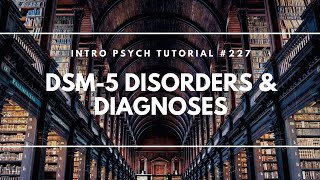 Somatic Symptom Disorder DSM5  Symptoms and Treatment Ideas [upl. by Akered]