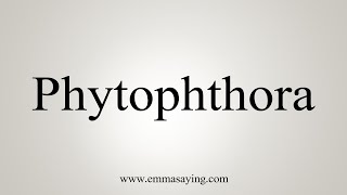 How To Say Phytophthora [upl. by Sualkin]