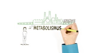 Metabolismus – o přeměně látek – NEZkreslená věda III [upl. by Elocyn]