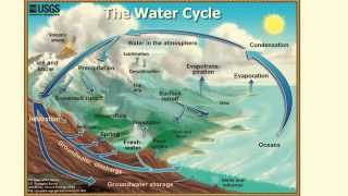 Hydrologic Cycle Explained  L22 [upl. by Maxi]