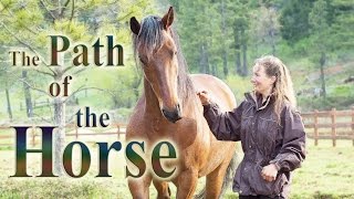 The Path of the Horse  Full Length documentary [upl. by Gunas]