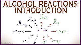 Introduction to Alcohol Properties and Reactions [upl. by Larentia]