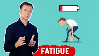 What Causes Fatigue – Dr Berg [upl. by Molloy]